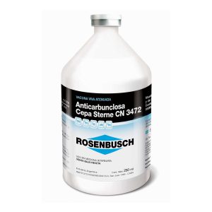 Anticarbunclosa Cepa Sterne