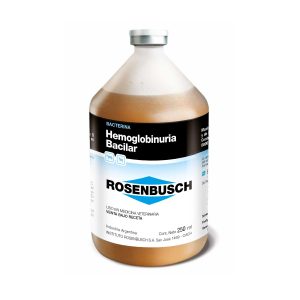 Hemoglobinuria Bacilar