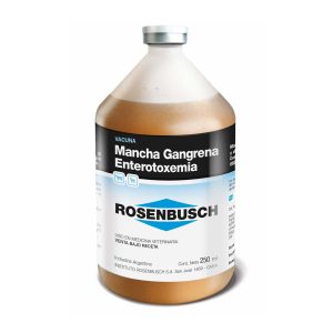 Mancha, Gangrena y Enterotoxemia