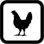 Aves