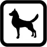 Caninos